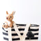 Squooshi Reusable Baby Food Pouch Best reusable food pouch